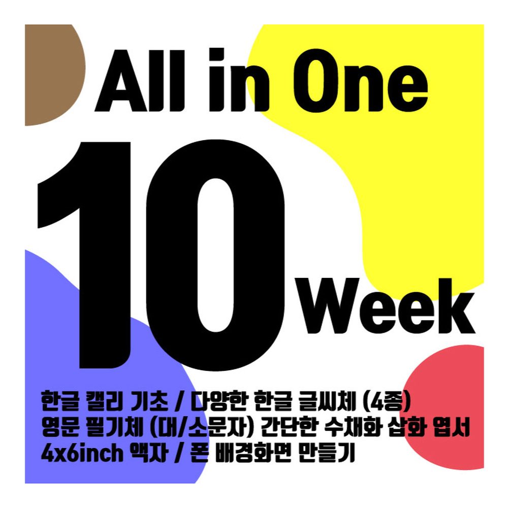 10회차 정규반